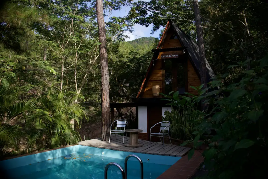 Cabaña en forma de A con pileta chica entre árboles