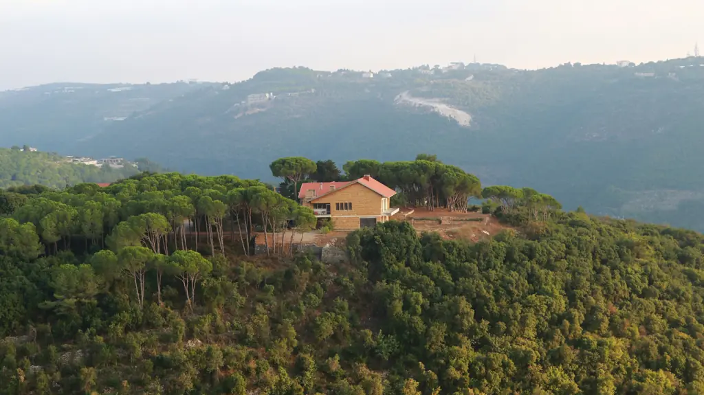 Casa entre pinos sobre una loma verde